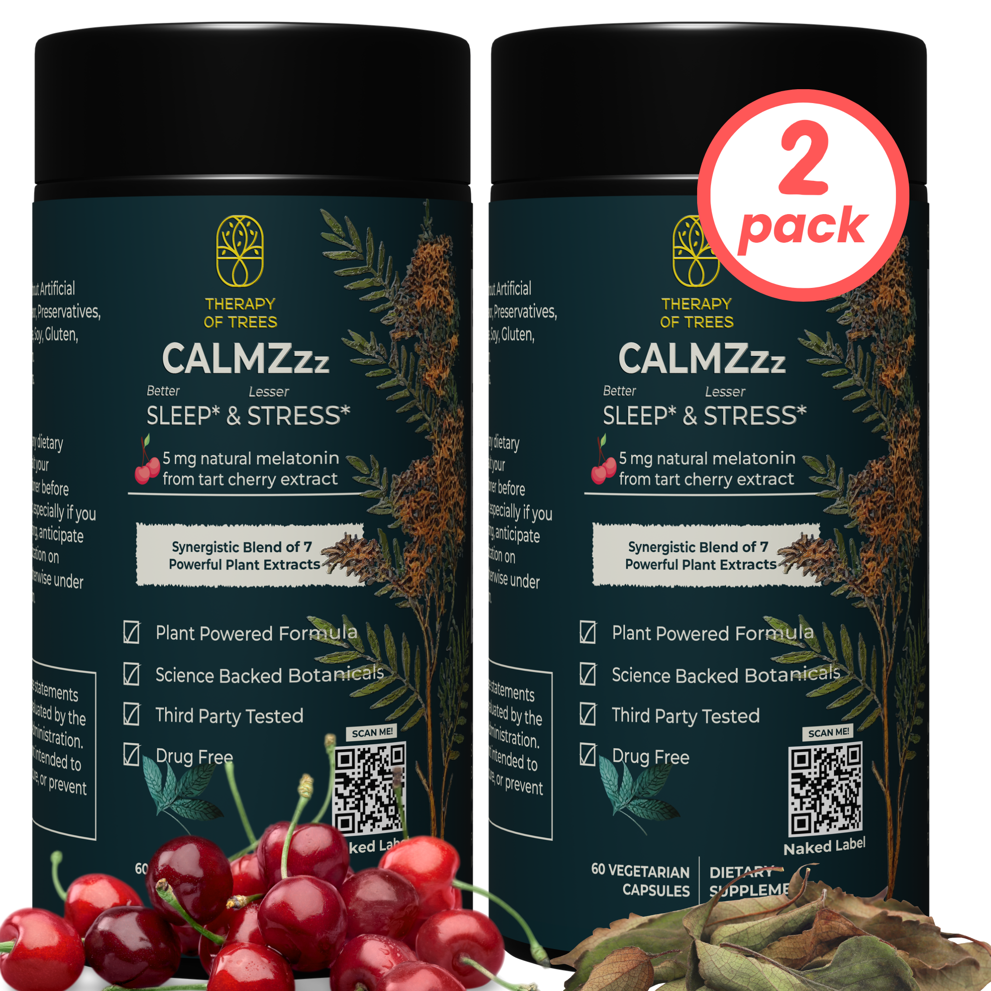 CALMZzz : Sleep Support and Stress Relief ; 100% Plant Based | Non Habit Forming (2- Pack)