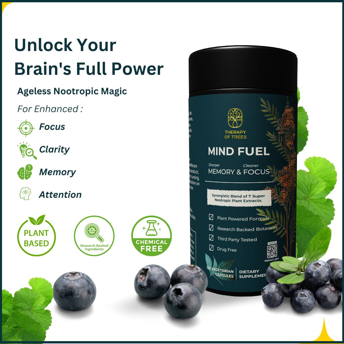 Mind Fuel: Nootropic Brain Enhancer – Nature's Blend for Peak Mental Performance
