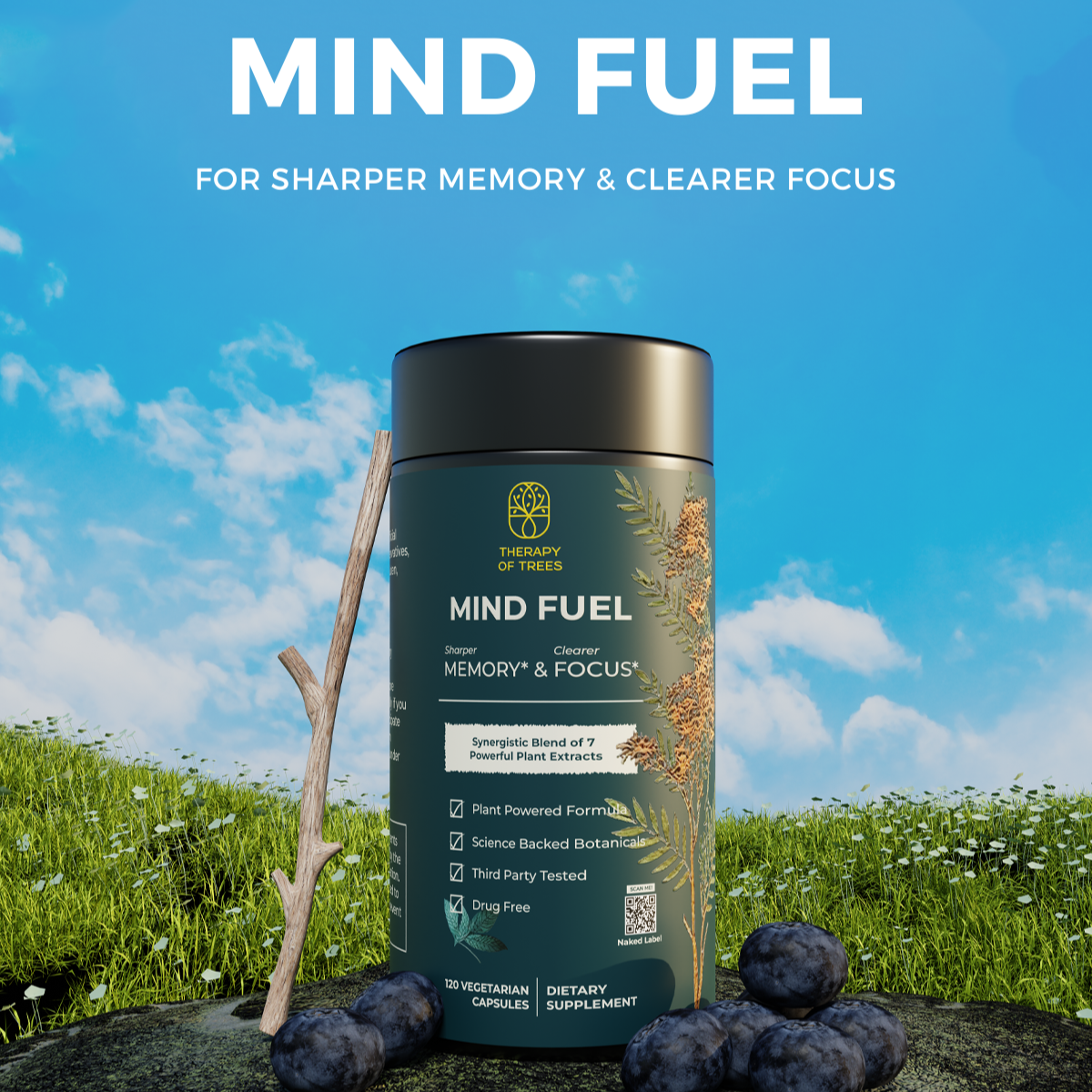 Mind Fuel: Nootropic Brain Enhancer – Nature's Blend for Peak Mental Performance