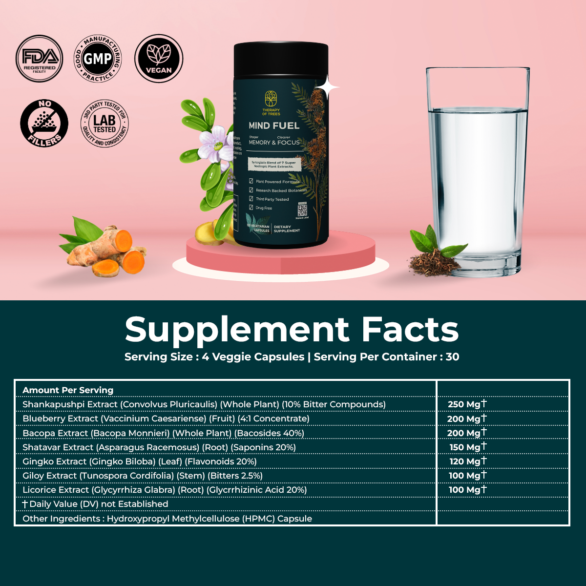 Mind Fuel: Nootropic Brain Enhancer – Nature's Blend for Peak Mental Performance