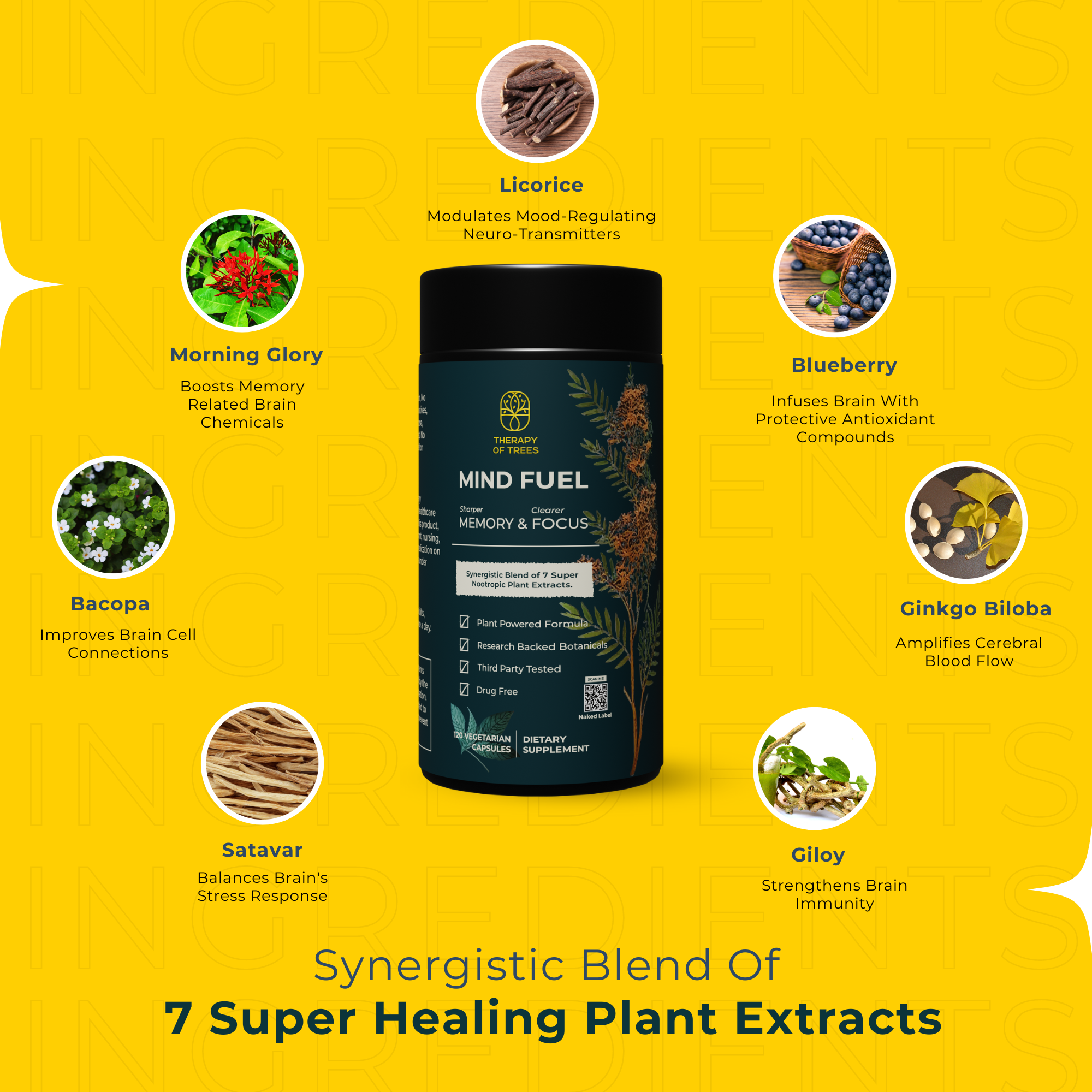 Mind Fuel: Nootropic Brain Enhancer – Nature's Blend for Peak Mental Performance