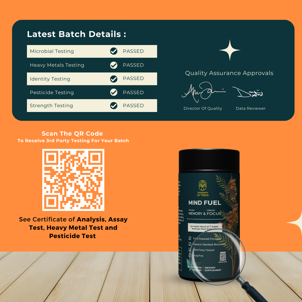 Mind Fuel: Nootropic Brain Enhancer – Nature's Blend for Peak Mental Performance