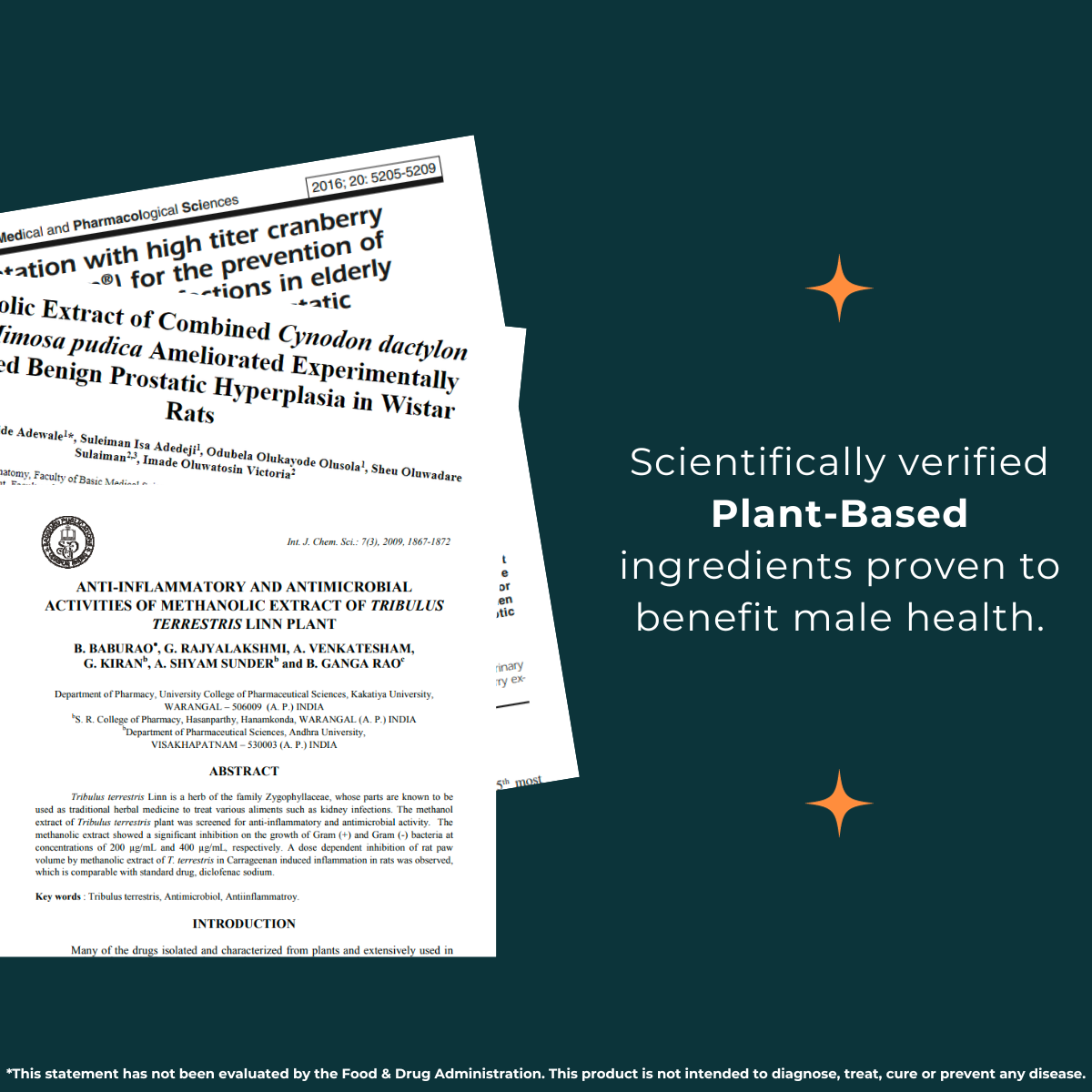 Uro Support: Advanced Support for Prostate Health and Urinary Wellness for Men